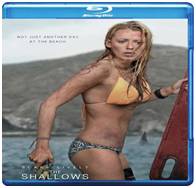 The Shallows 2016 Dual Audio 480p 300MB FilmyZilla